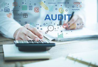 Audit-Related Services